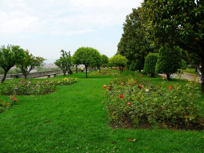 roses_cimiez_006.jpg