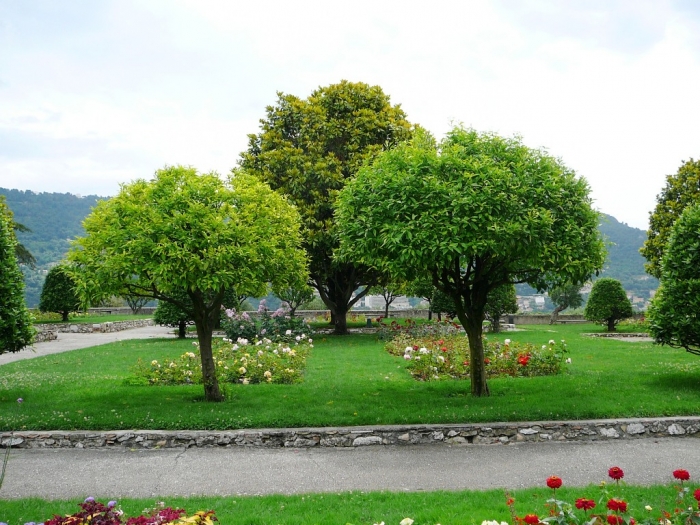 roses_cimiez_007.jpg