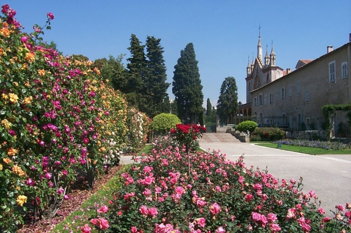 roses_cimiez_015.jpg
