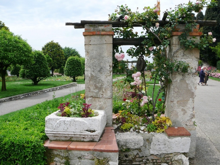 roses_cimiez_017.jpg