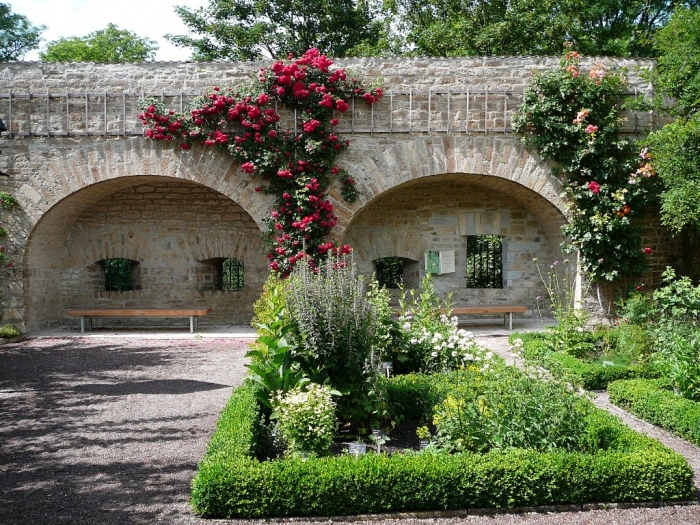 roses_de_erfurt_010.jpg