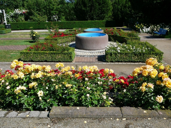 roses_de_erfurt_018.jpg