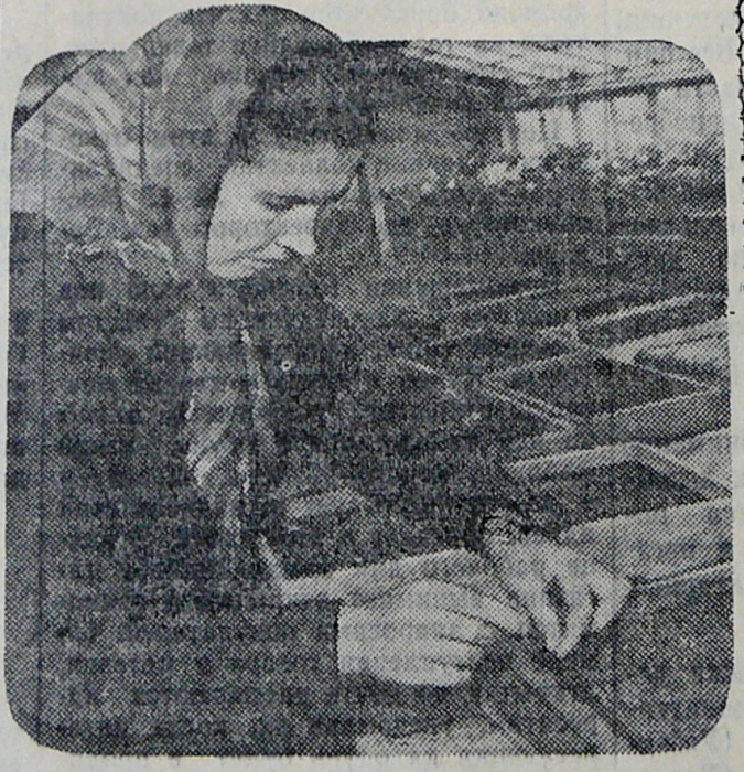 varda_gorbenko_1958.jpg