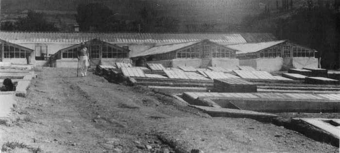 varda_yalta_001.jpg