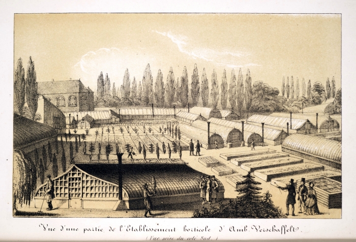 verschaffelts_nursery_in_ghent.jpg