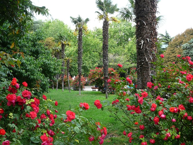 yalta_roses_005.jpg