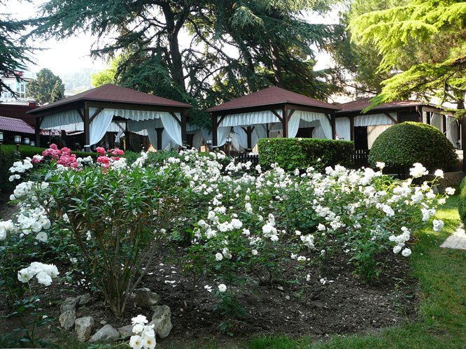 yalta_roses_006.jpg