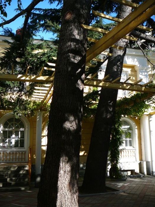 0010_19.jpg