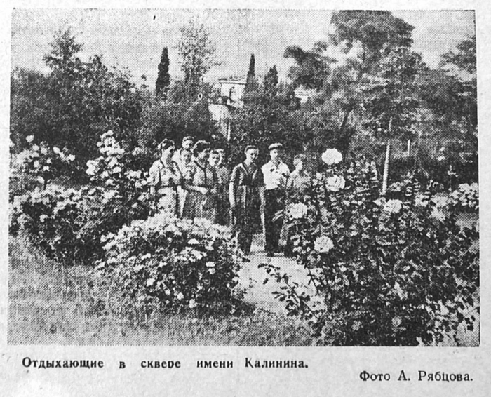 003_roses_1956_1.jpg