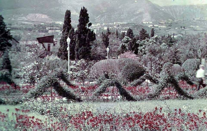 006_roses_yalta.jpg