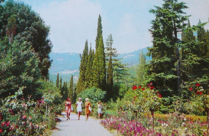 012_nikitsky_botanical_garden_1976.jpg