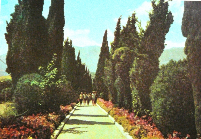 013_artek_gorniy_1978.jpg