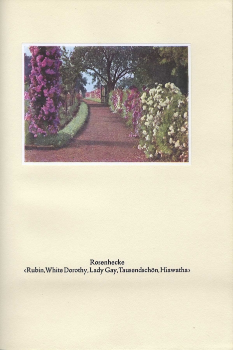 014_rosenhohe.jpg