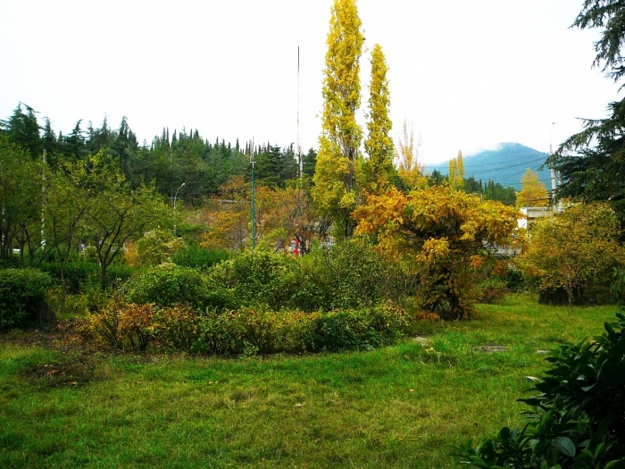 015_36.jpg