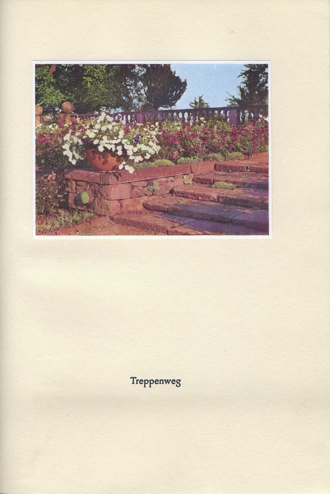 015_rosenhohe.jpg
