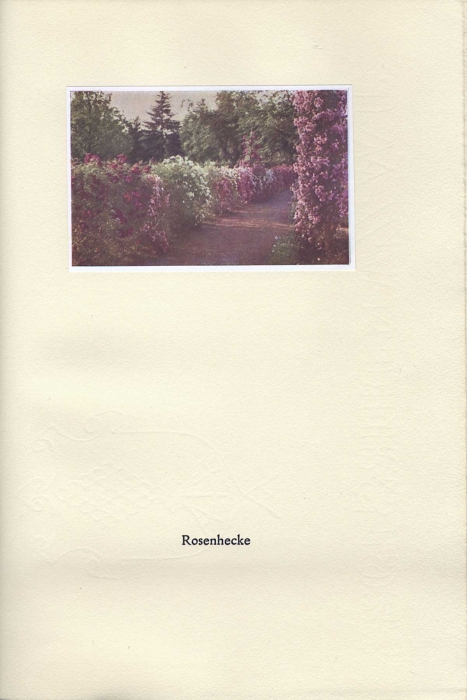 016_rosenhohe.jpg