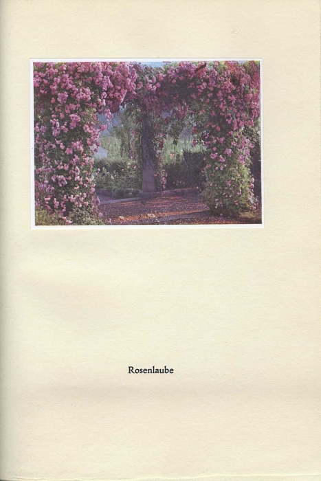 017_rosenhohe.jpg
