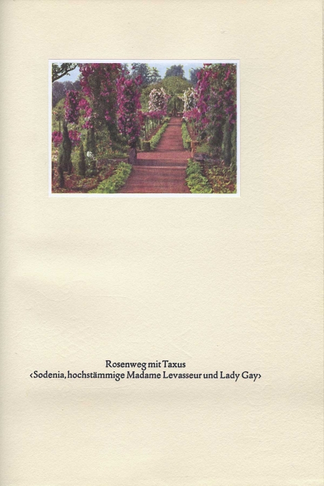 018_rosenhohe.jpg