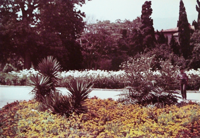 018_yalta_roses_1970th.jpg