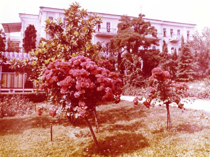 021_skver_nekrasova_2.jpg