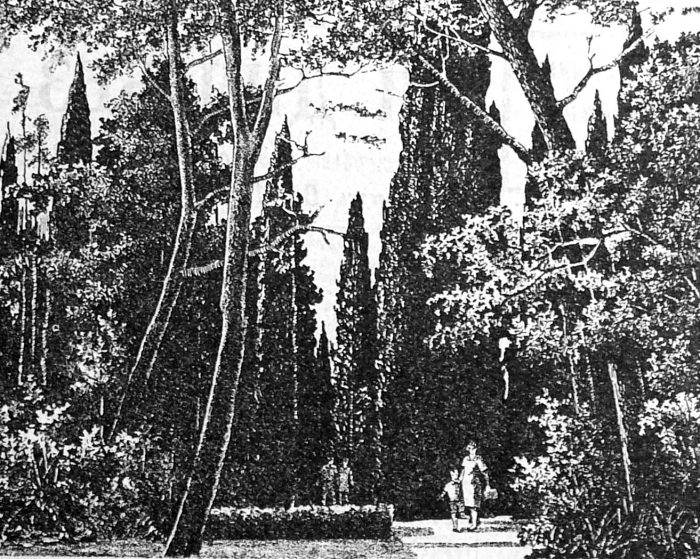 1976.08.8._v_mass._parke.jpg