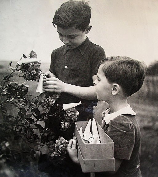 Photo_JJ-Gaujard.jpg