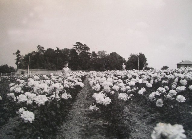 Photo_pep-J-Gaujard.jpg