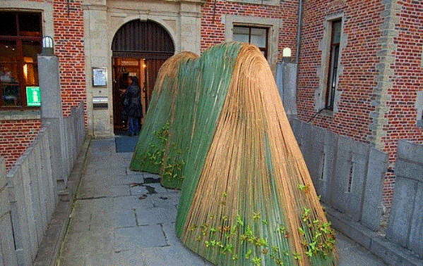 coloma_0023.gif