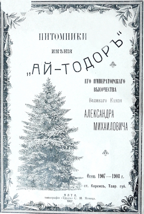 p1560328.jpg