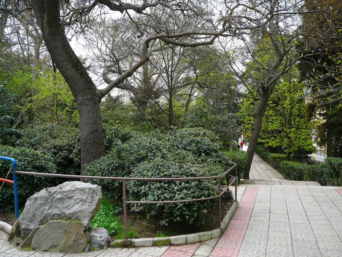 p1720411_0.jpg