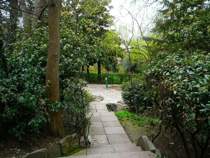 p1720415.jpg