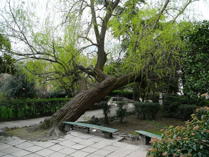 p1720416.jpg