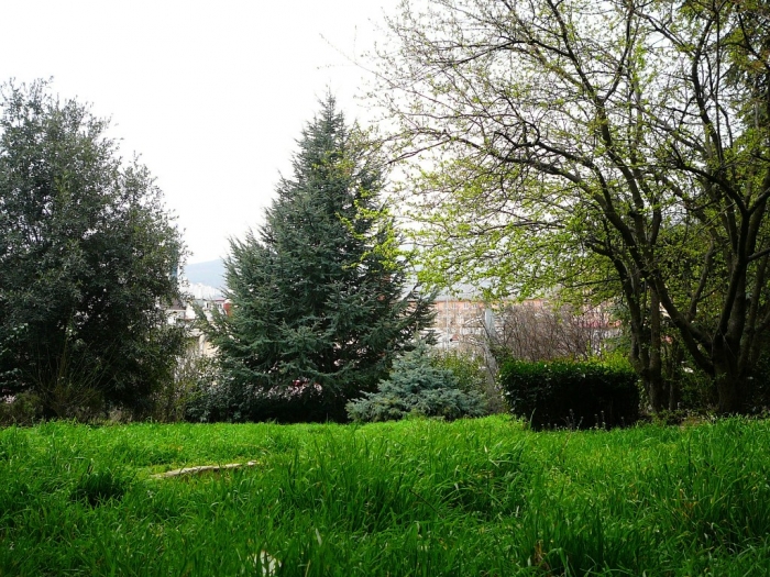 p1720422.jpg
