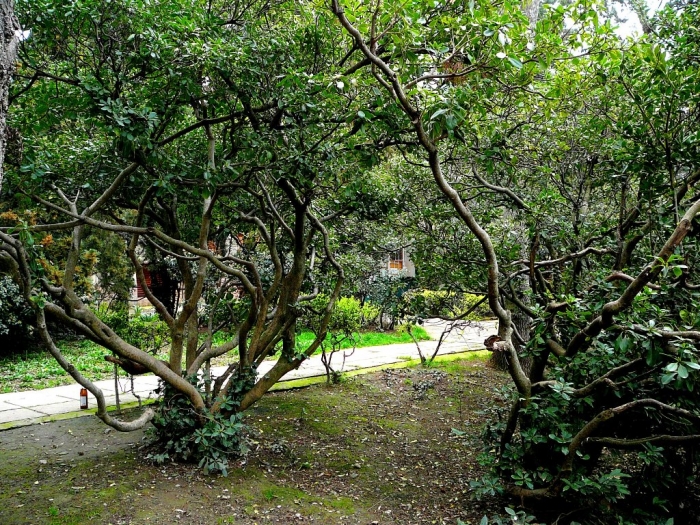 p1720428.jpg