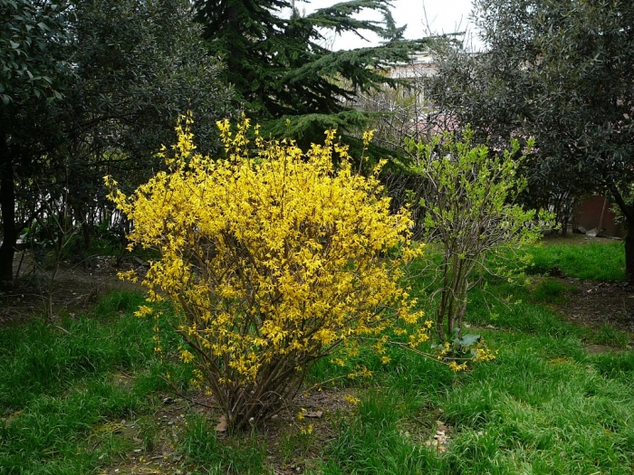 p1720429.jpg