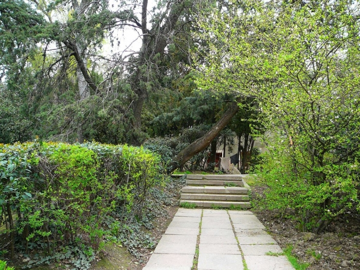 p1720431.jpg