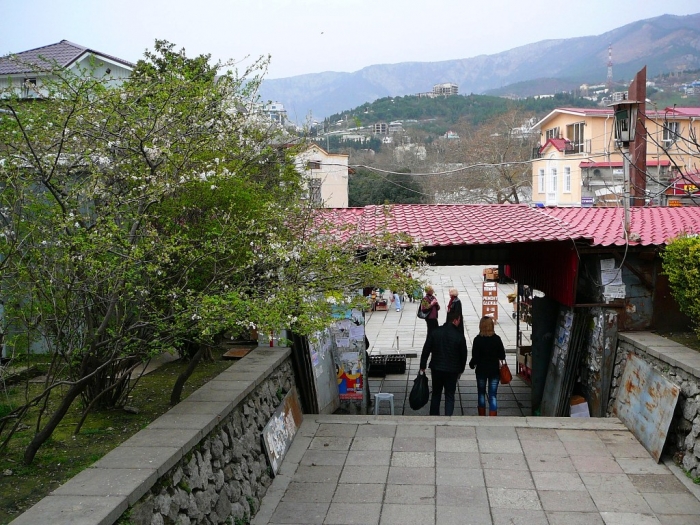 p1720433.jpg
