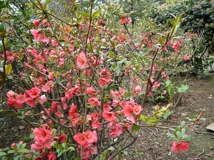 p1720441.jpg