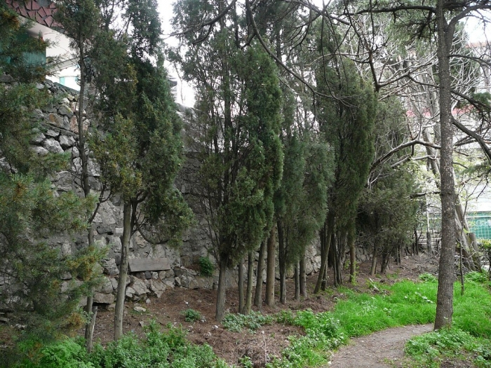 p1720446.jpg