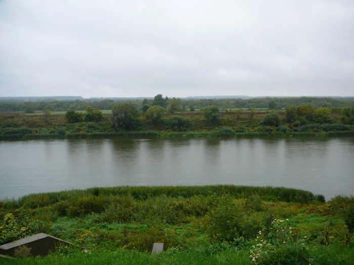 p1780631.jpg