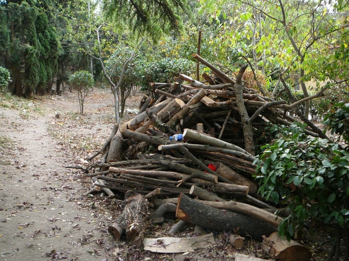 p2020466.jpg