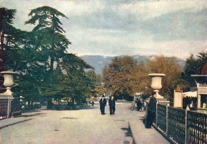 0_6fadd_c1fd8f75_xxl_1960.jpg
