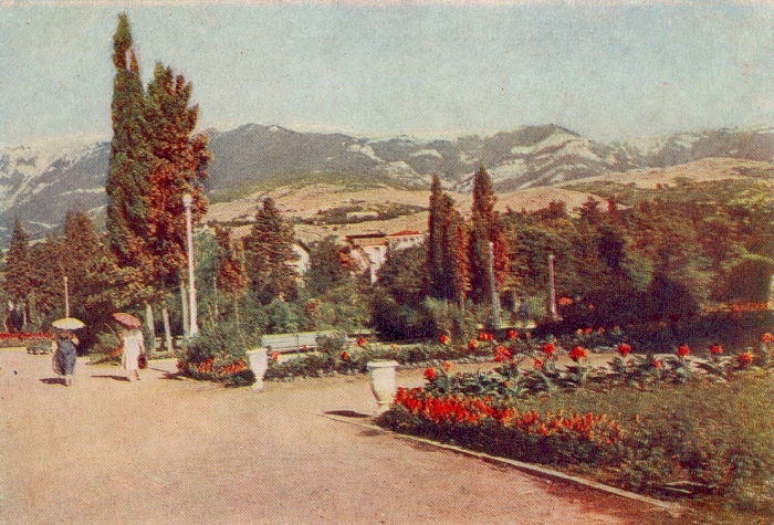 1954.jpg