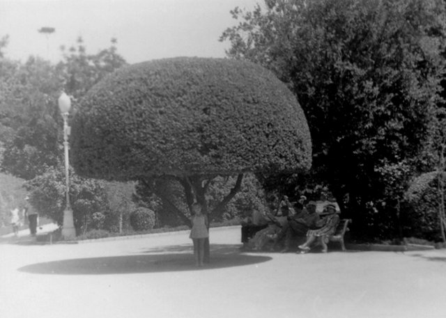 1965_1_yalta.jpg