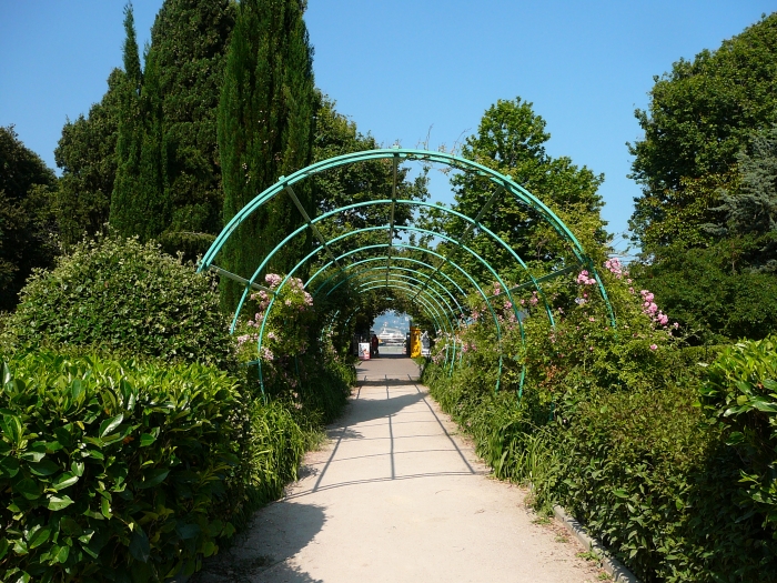 p1610674.jpg