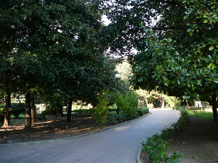 p1670869.jpg