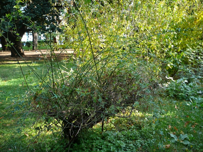 p1670894.jpg