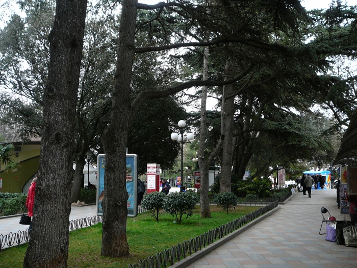 p1720027.jpg