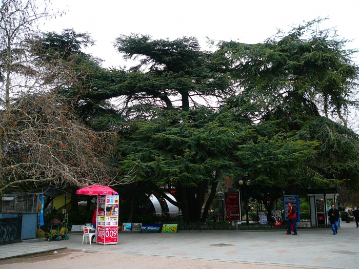 p1720038.jpg