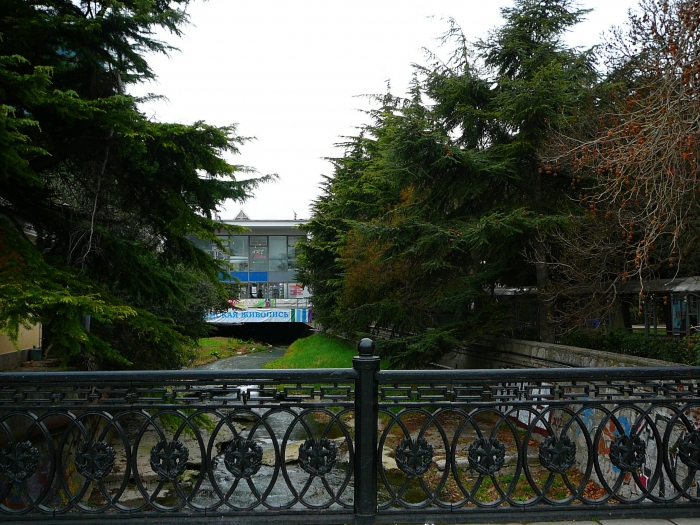 p1720040.jpg